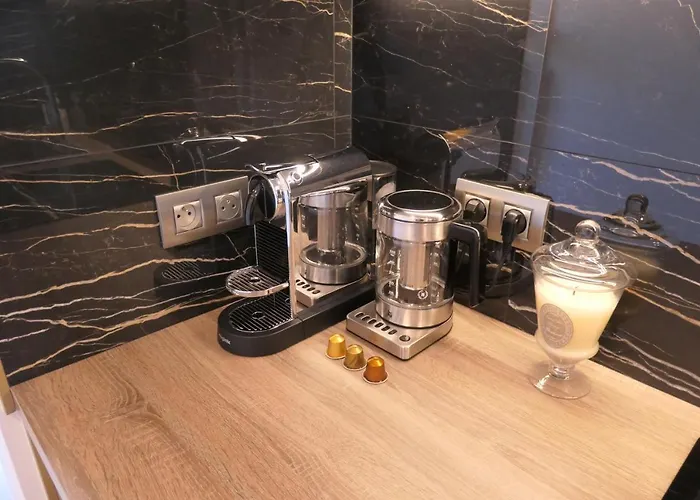 Luxury Studio Daumesnil Wifi & Netflix Paris, Frankreich