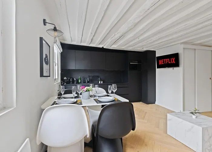 Elegant Appartement Pres Du Musee Du Louvre Et Du Jardin Des Tuileries Free Netflix Parigi, Francia